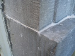 christchurch -2300.jpg